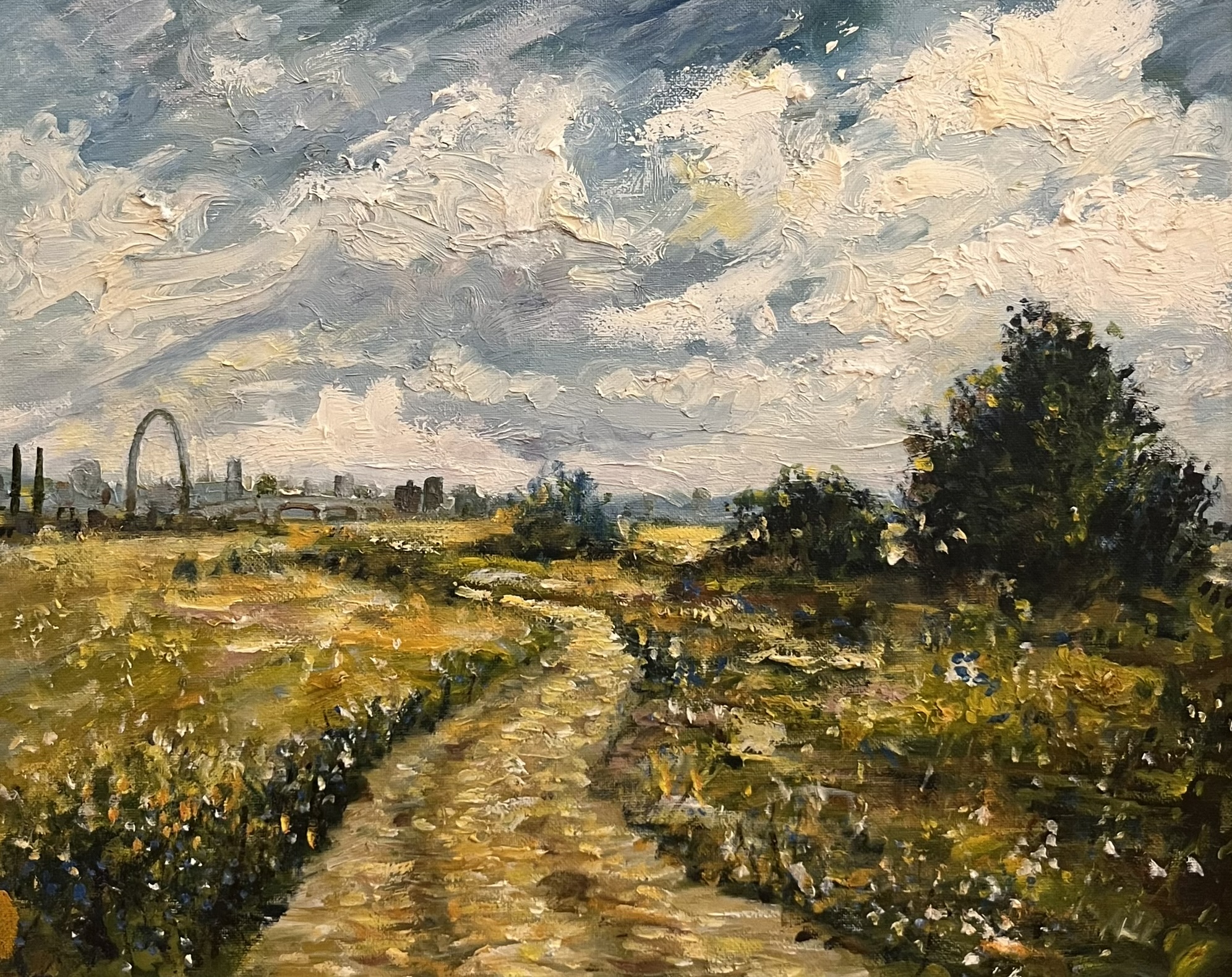 View of St. Louis