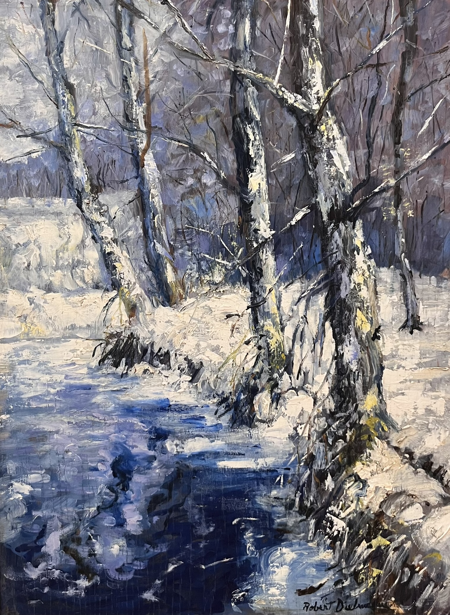 Forest Park in Winter